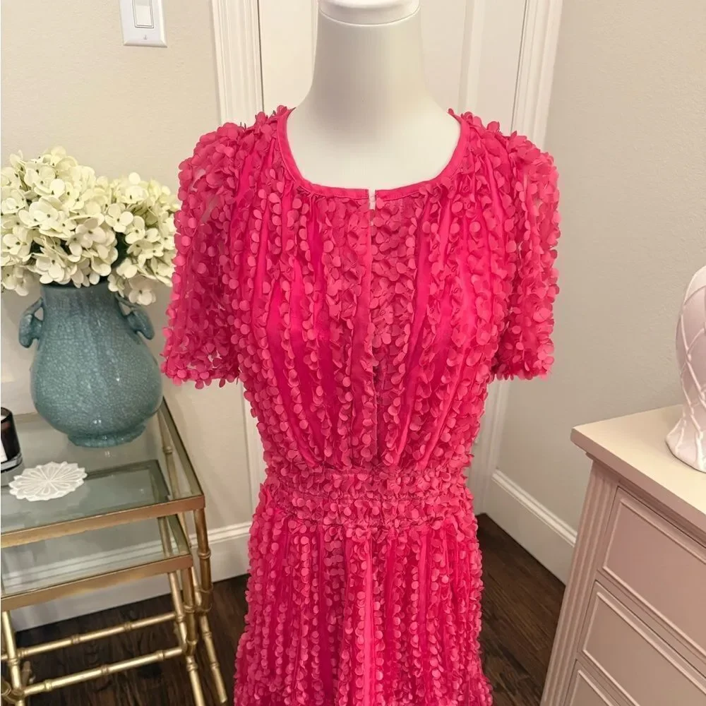 The Somerset Mini Dress: Floral Appliqué Edition AA2